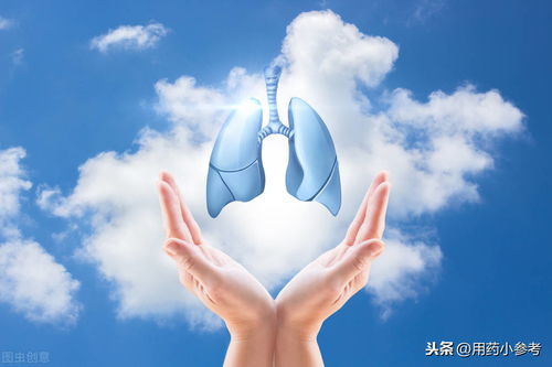 好肺好健康，日常生活中护肺良方